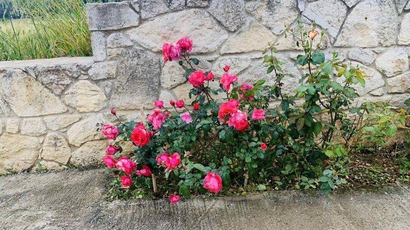 Ύπαρξη ανθρώπου