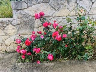 Ύπαρξη ανθρώπου