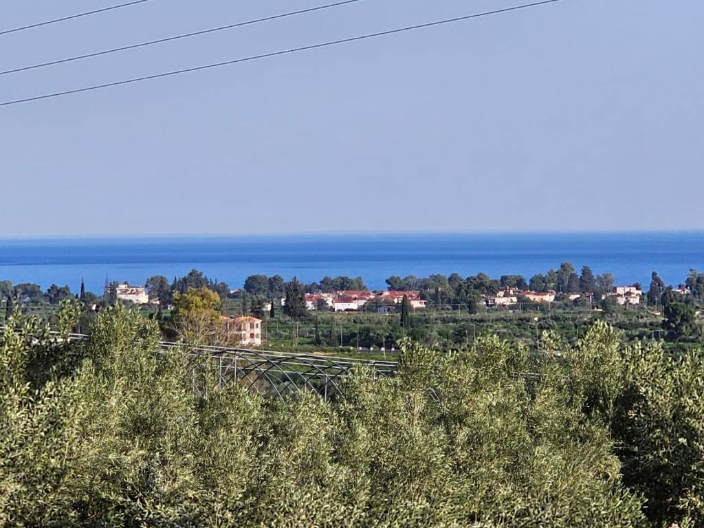 Newly built detached house on a plot of 2,500 sq.m.