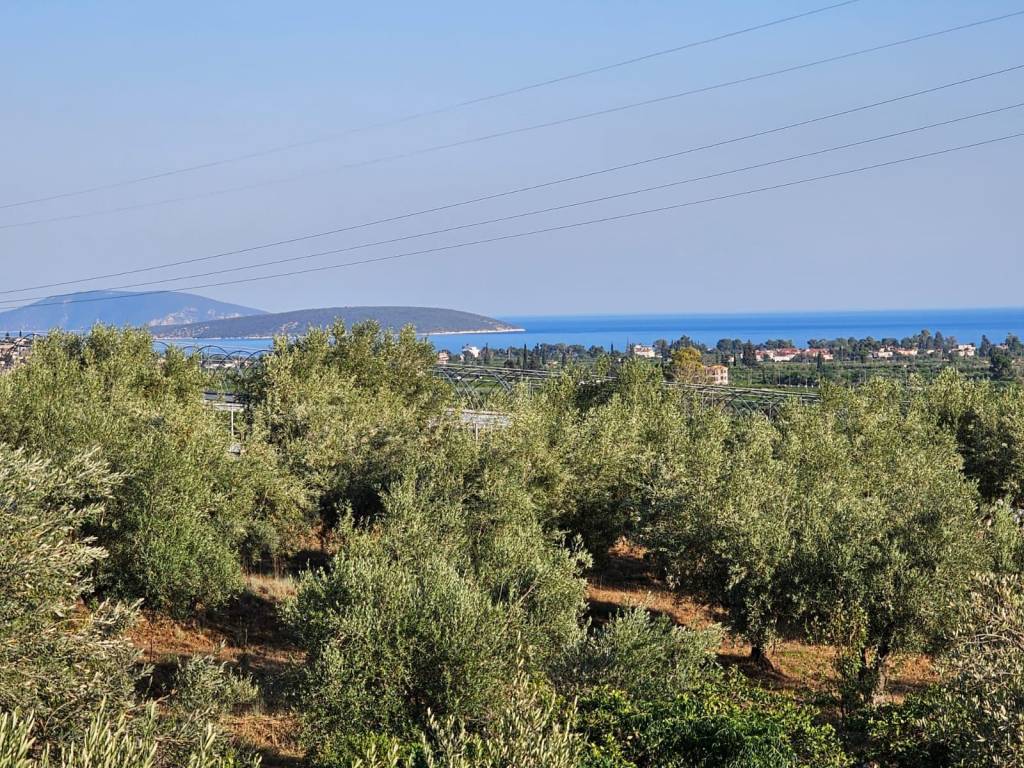 Newly built detached house on a plot of 2,500 sq.m.