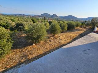 Newly built detached house on a plot of 2,500 sq.m.
