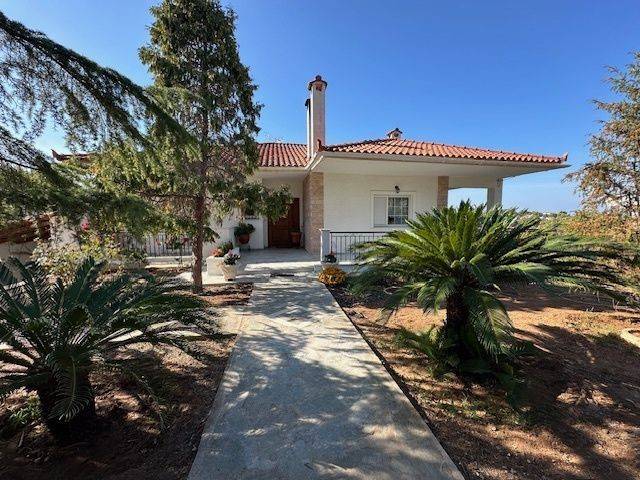 Εξωτερικοι χώροι