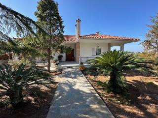 Εξωτερικοι χώροι