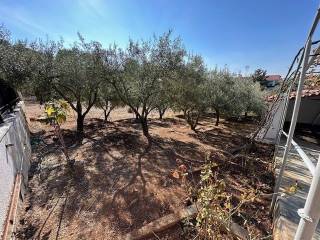 Εξωτερικοι χώροι