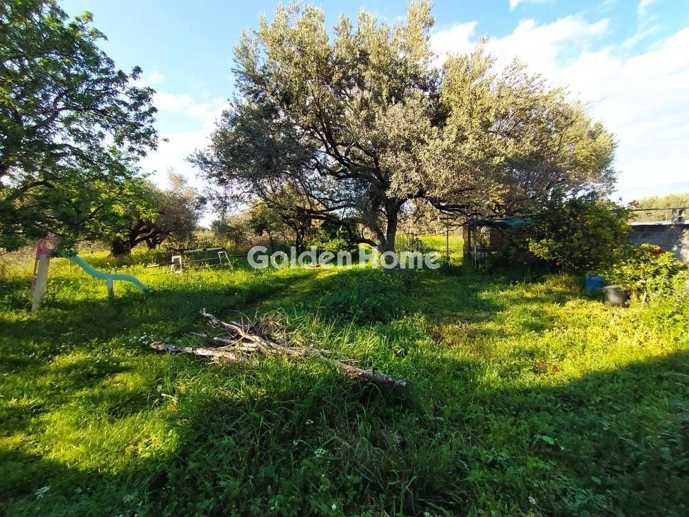 Εξωτερικός Χώρος