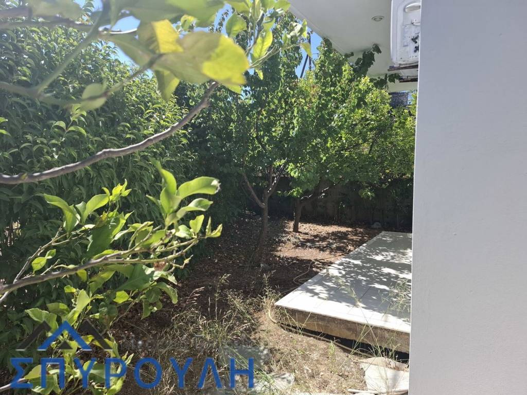 Εξωτερικοι χώροι