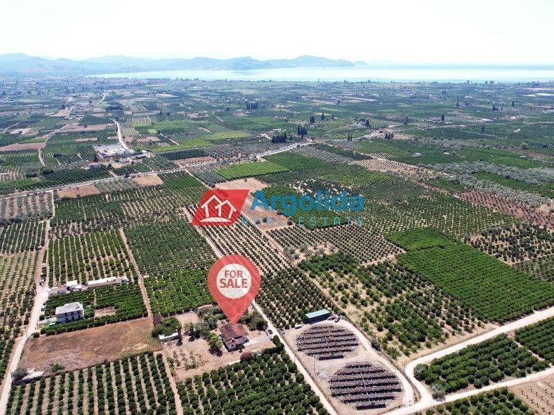 Ύπαρξη ανθρώπου