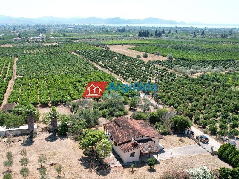 Ύπαρξη ανθρώπου