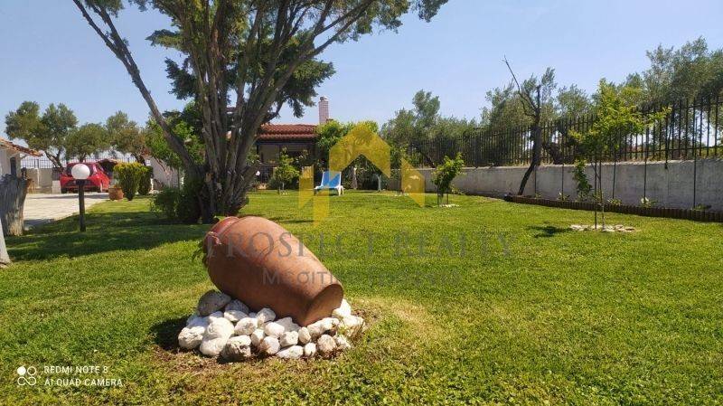 Ύπαρξη ανθρώπου