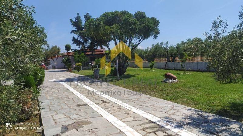 Ύπαρξη ανθρώπου