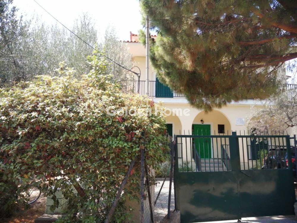 Ανελκυστήρας