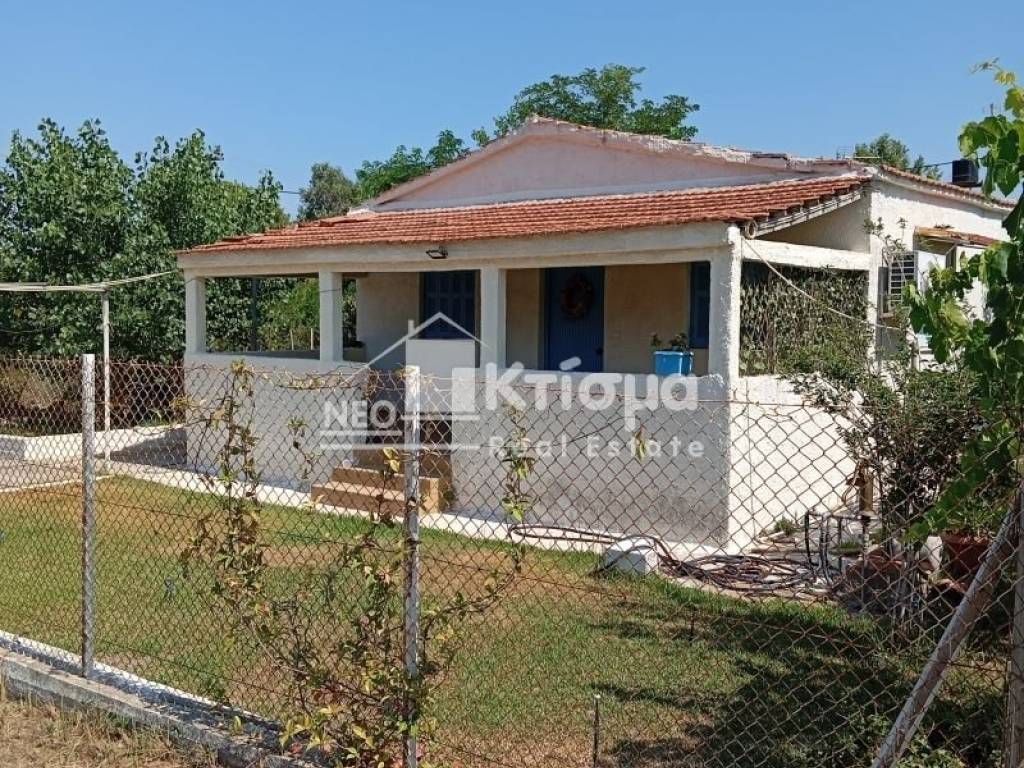 Εξωτερικός χώρος