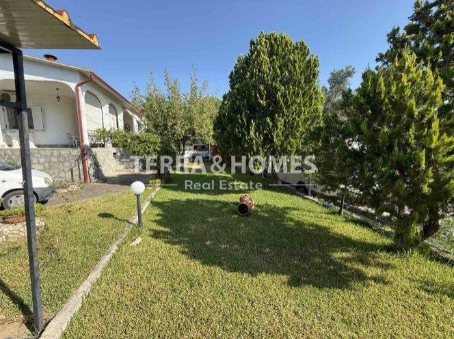 Ύπαρξη ανθρώπου