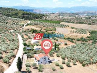 Ύπαρξη ανθρώπου