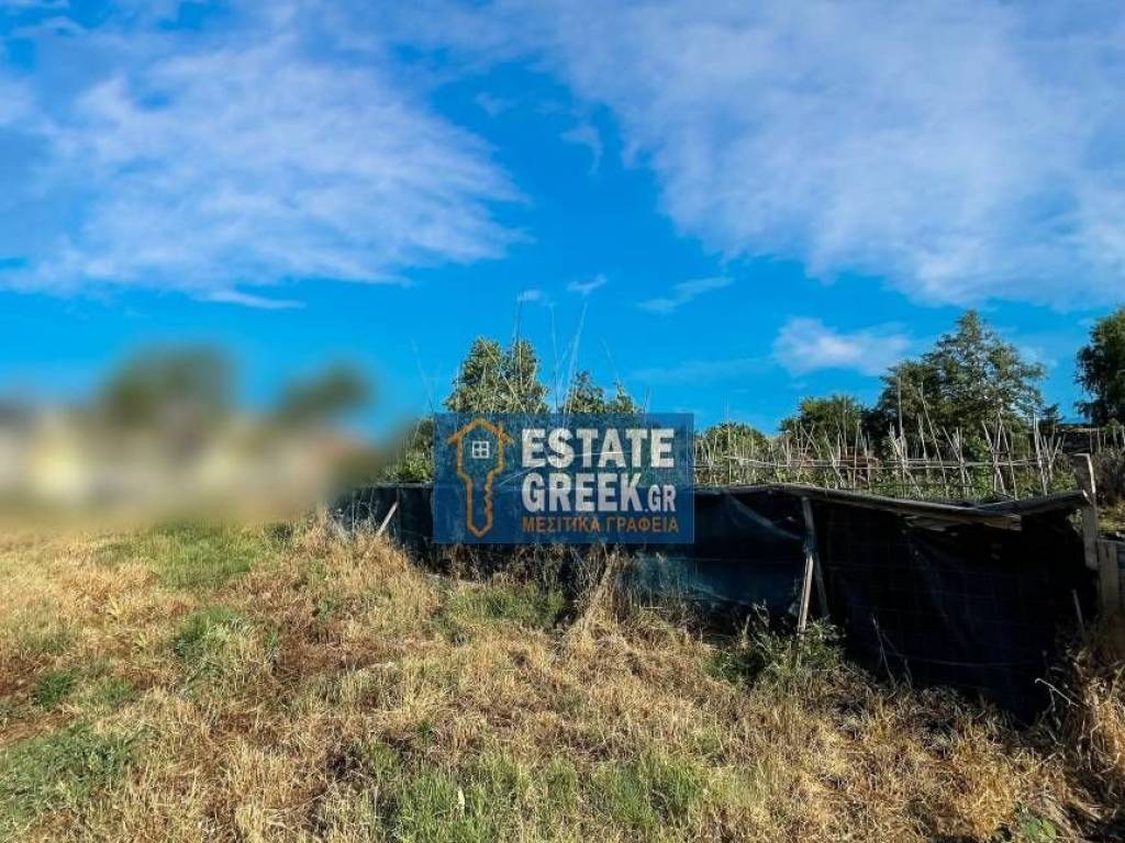 ★ Οικόπεδο 1.000 τ.μ. ★ Ήσυχη περιοχή ★ Μεγάλη αυλή και αποθήκη ★