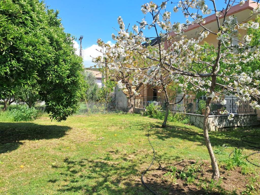 KATALLELO GIA ANEGERSE MONIMES KATOIKIAS