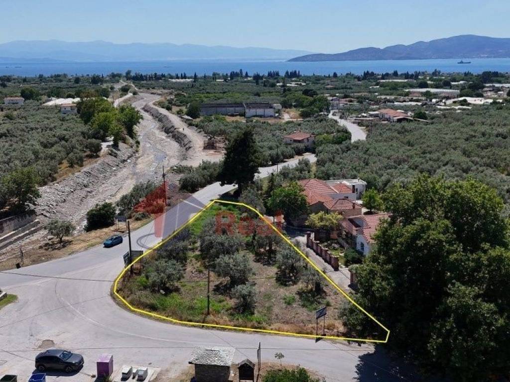 Εξωτερικοι χώροι