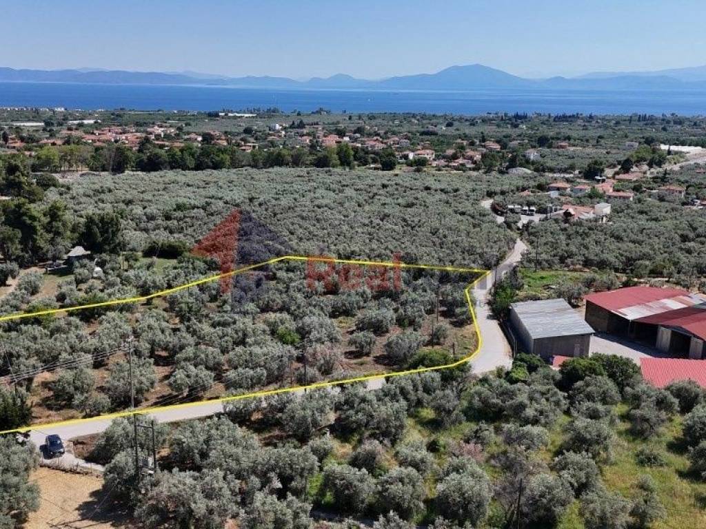 Εξωτερικοι χώροι