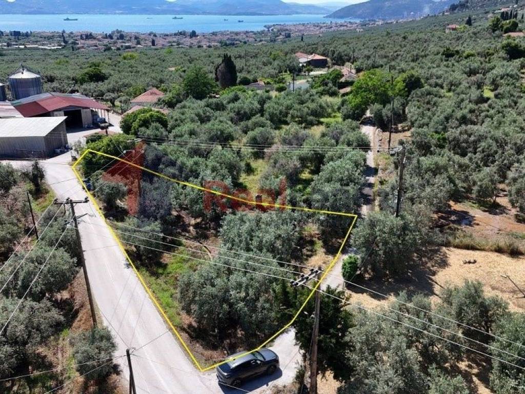 Εξωτερικοι χώροι