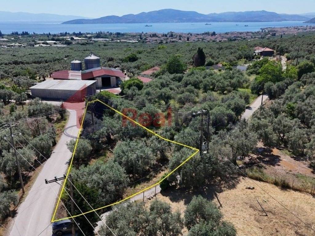 Εξωτερικοι χώροι