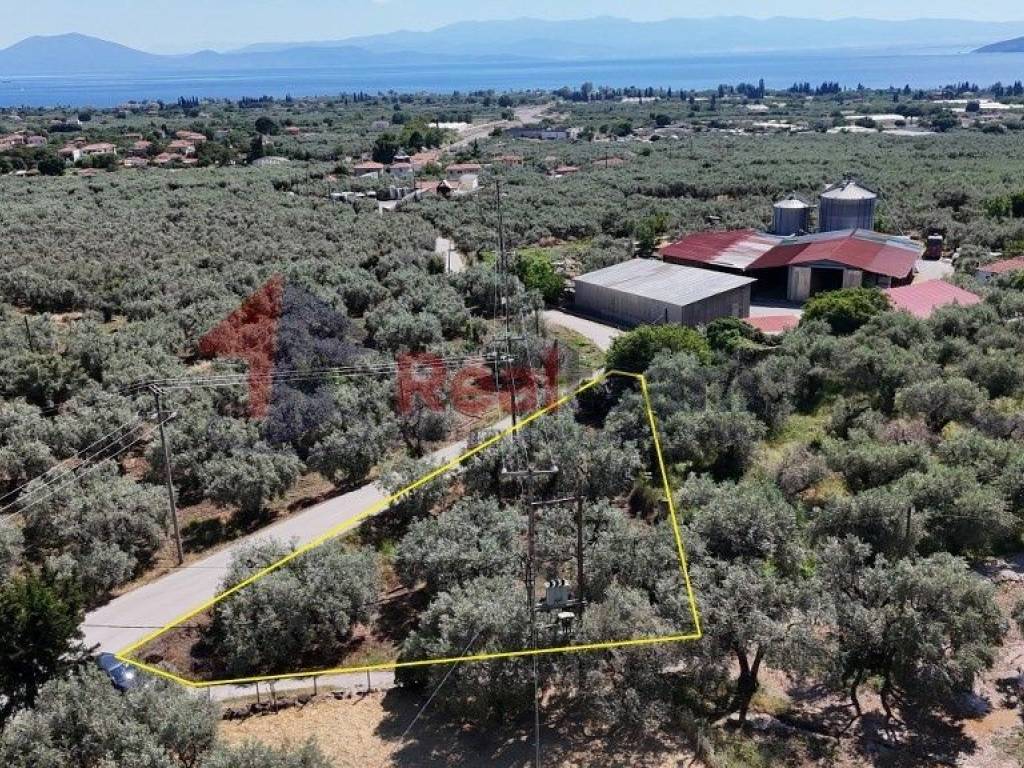 Εξωτερικοι χώροι