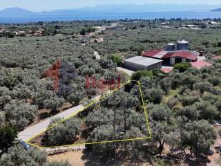 Εξωτερικοι χώροι