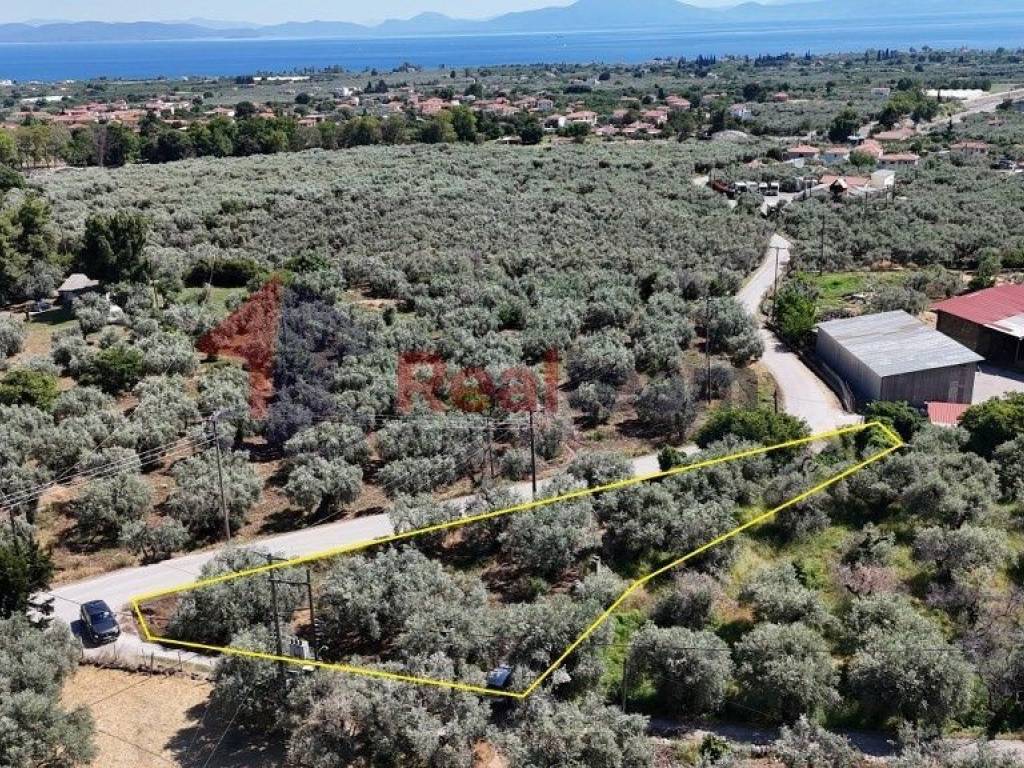 Εξωτερικοι χώροι