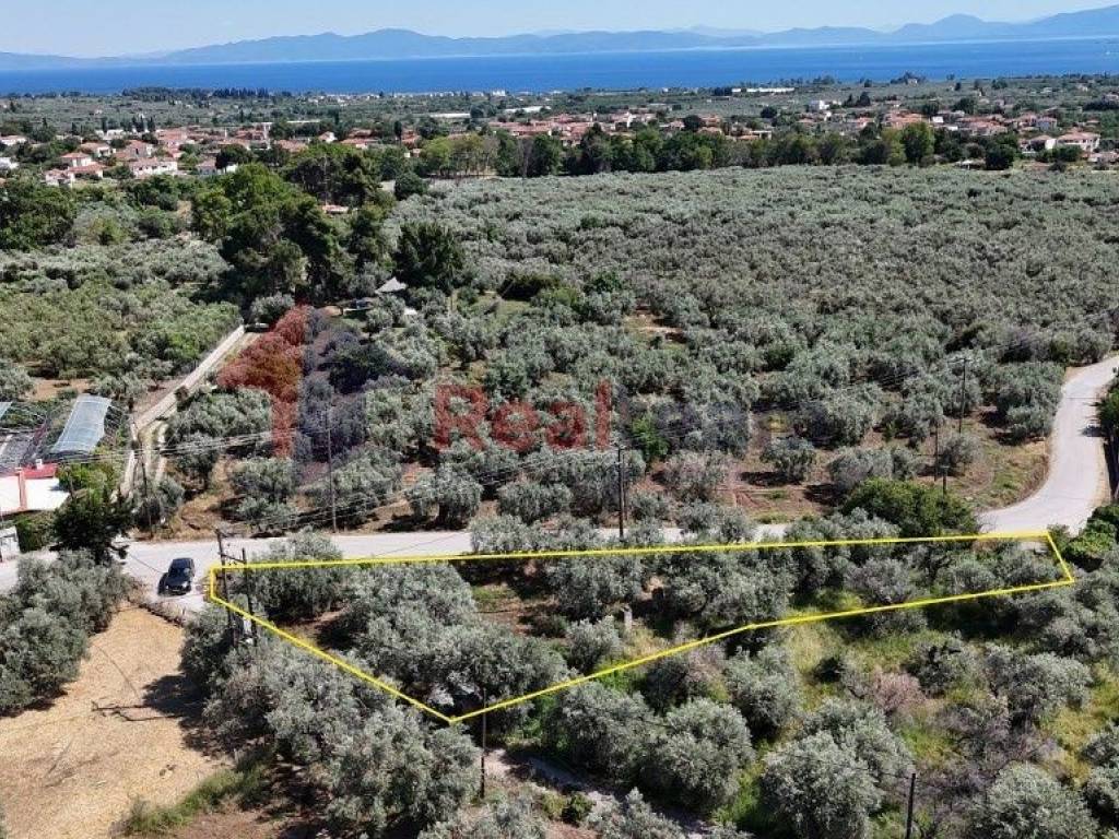 Εξωτερικοι χώροι