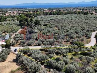 Εξωτερικοι χώροι