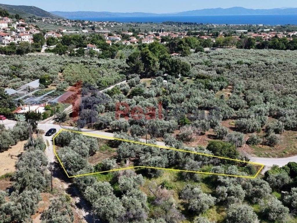 Εξωτερικοι χώροι