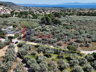 Εξωτερικοι χώροι