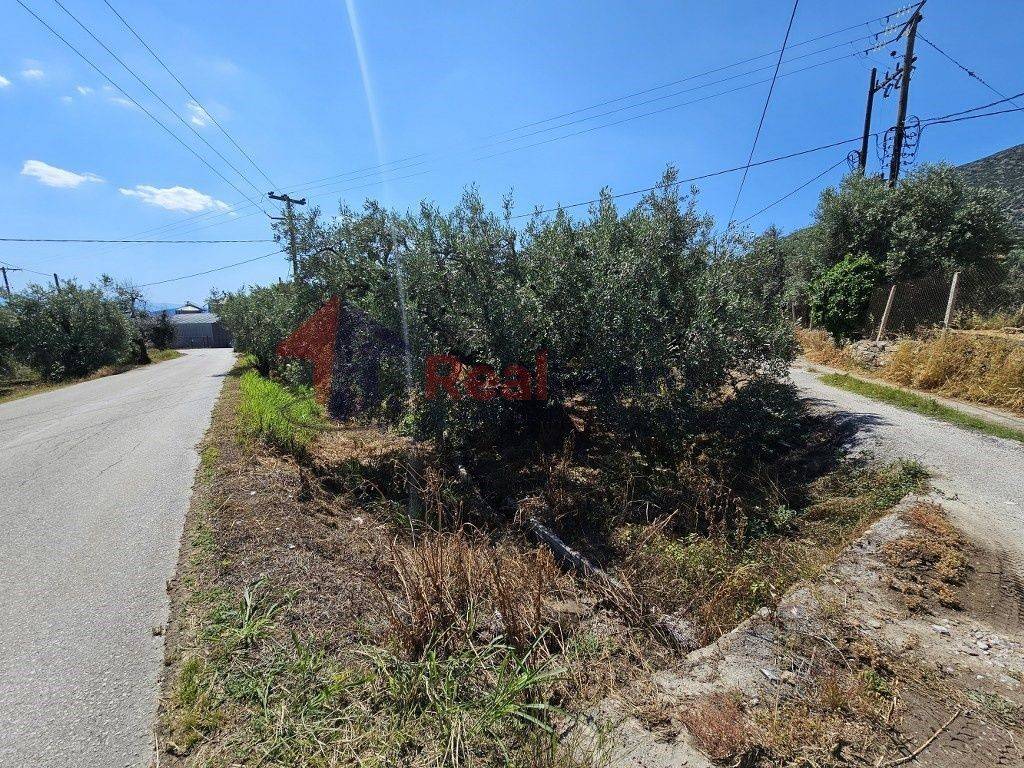 Εξωτερικοι χώροι