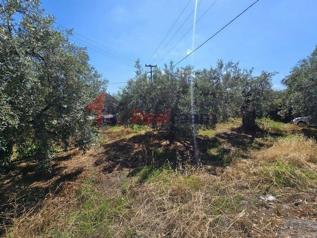 Εξωτερικοι χώροι