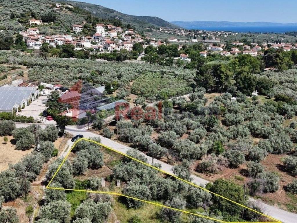 Εξωτερικοι χώροι