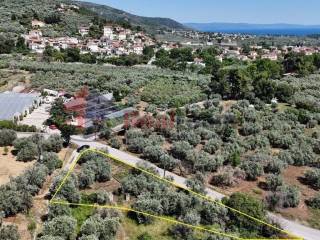 Εξωτερικοι χώροι