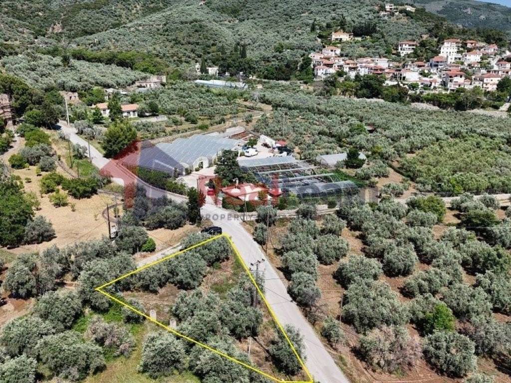 Εξωτερικοι χώροι