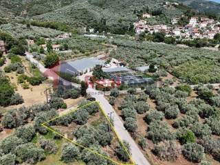 Εξωτερικοι χώροι