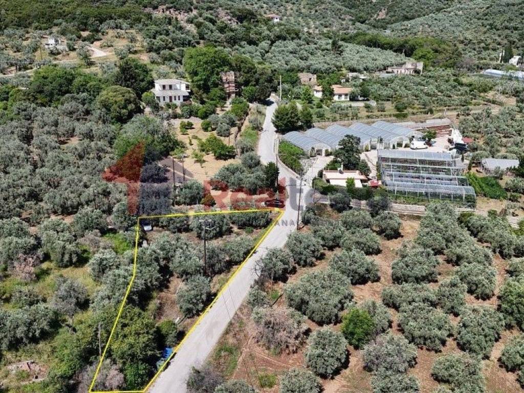 Εξωτερικοι χώροι