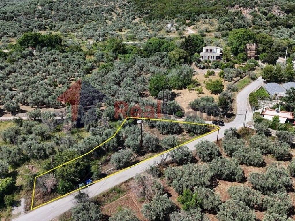 Εξωτερικοι χώροι