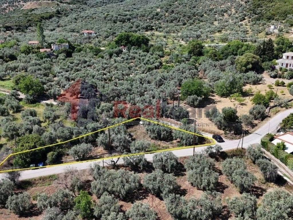 Εξωτερικοι χώροι