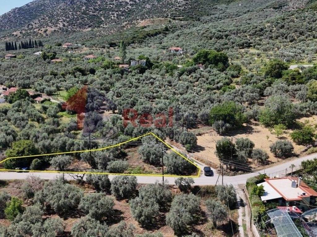 Εξωτερικοι χώροι