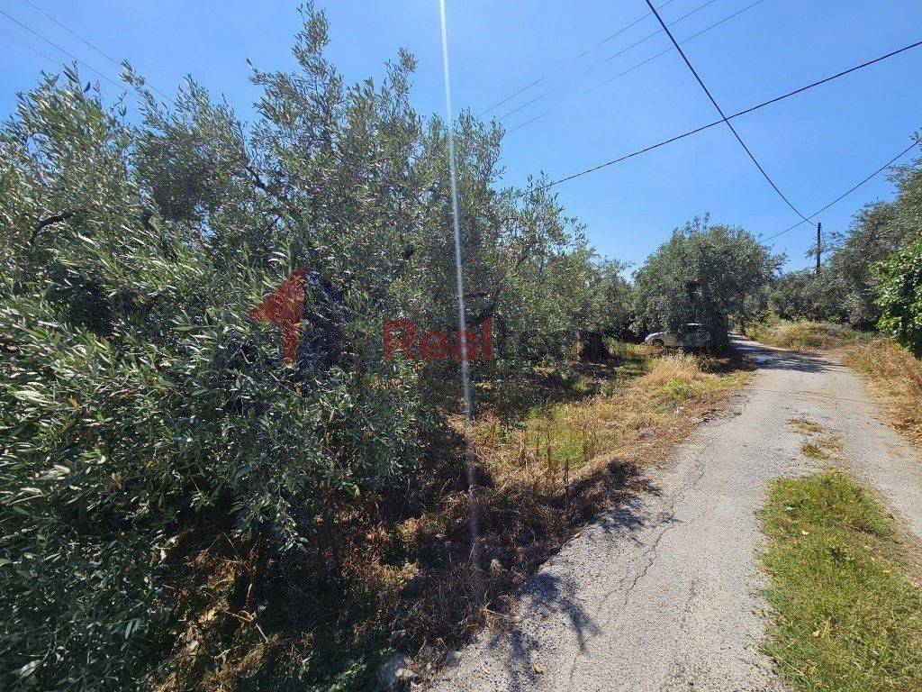 Εξωτερικοι χώροι