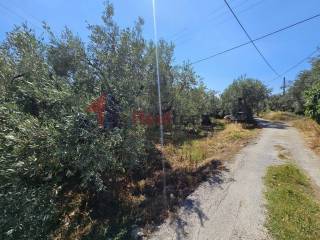 Εξωτερικοι χώροι