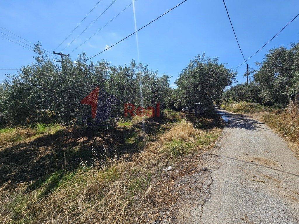 Εξωτερικοι χώροι