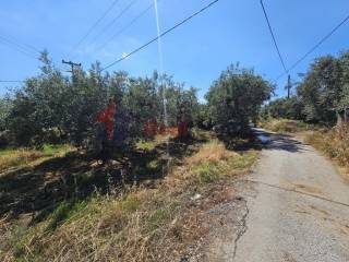 Εξωτερικοι χώροι