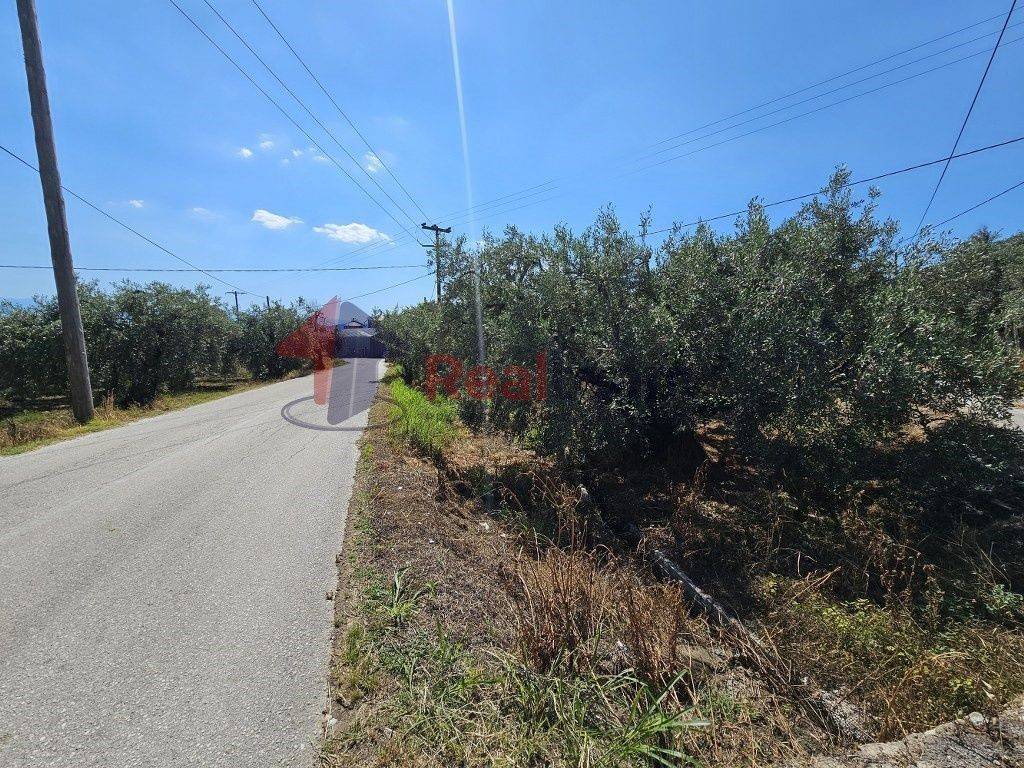 Εξωτερικοι χώροι