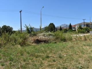 ΑΠΟΨΗ ΟΙΚΟΠΕΔΟΥ