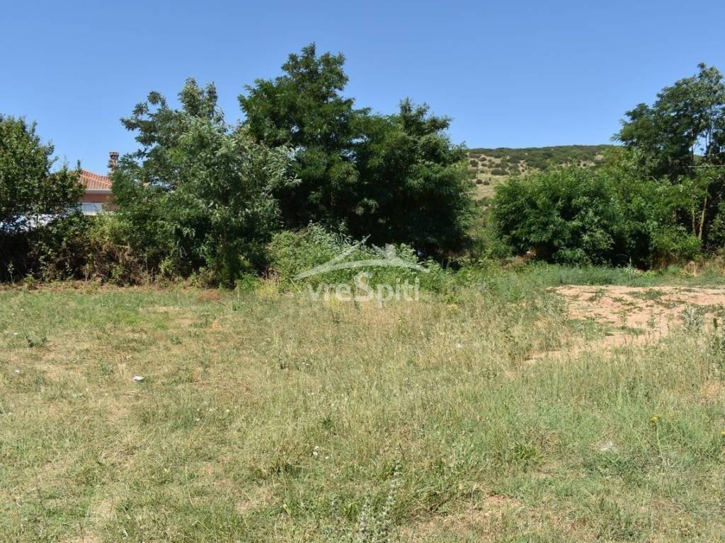 ΑΠΟΨΗ ΟΙΚΟΠΕΔΟΥ