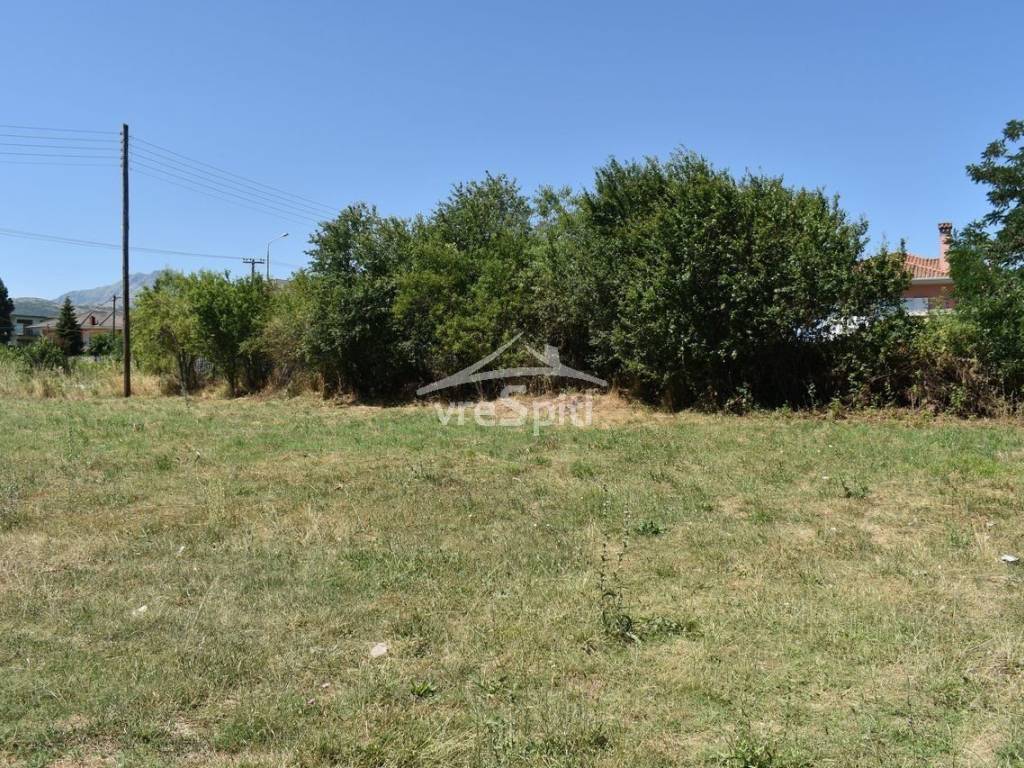 ΑΠΟΨΗ ΟΙΚΟΠΕΔΟΥ