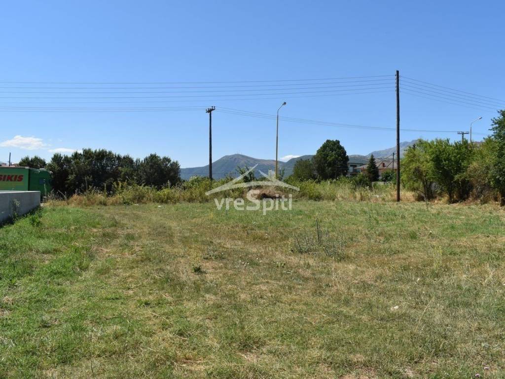 ΑΠΟΨΗ ΟΙΚΟΠΕΔΟΥ